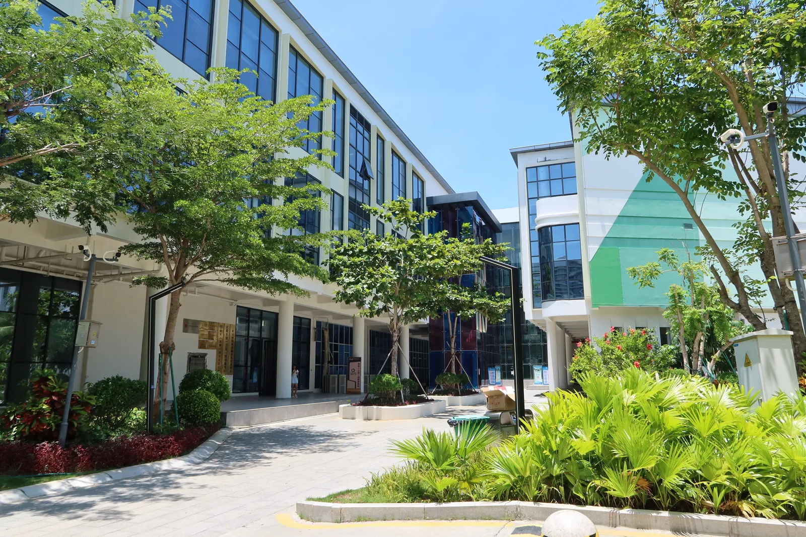 Tree-lined courtyard between the incubator buildings